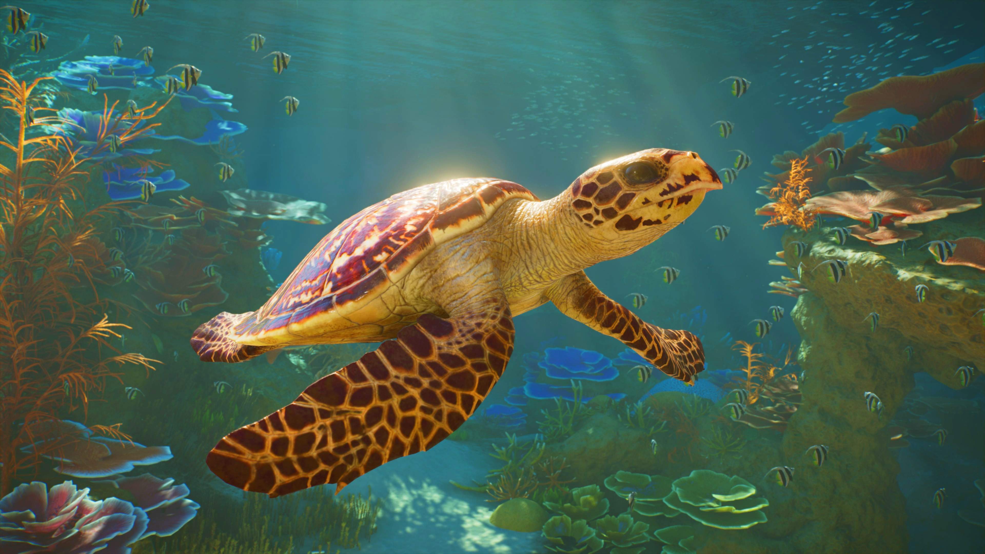 Planet Zoo 2 - imagem 3