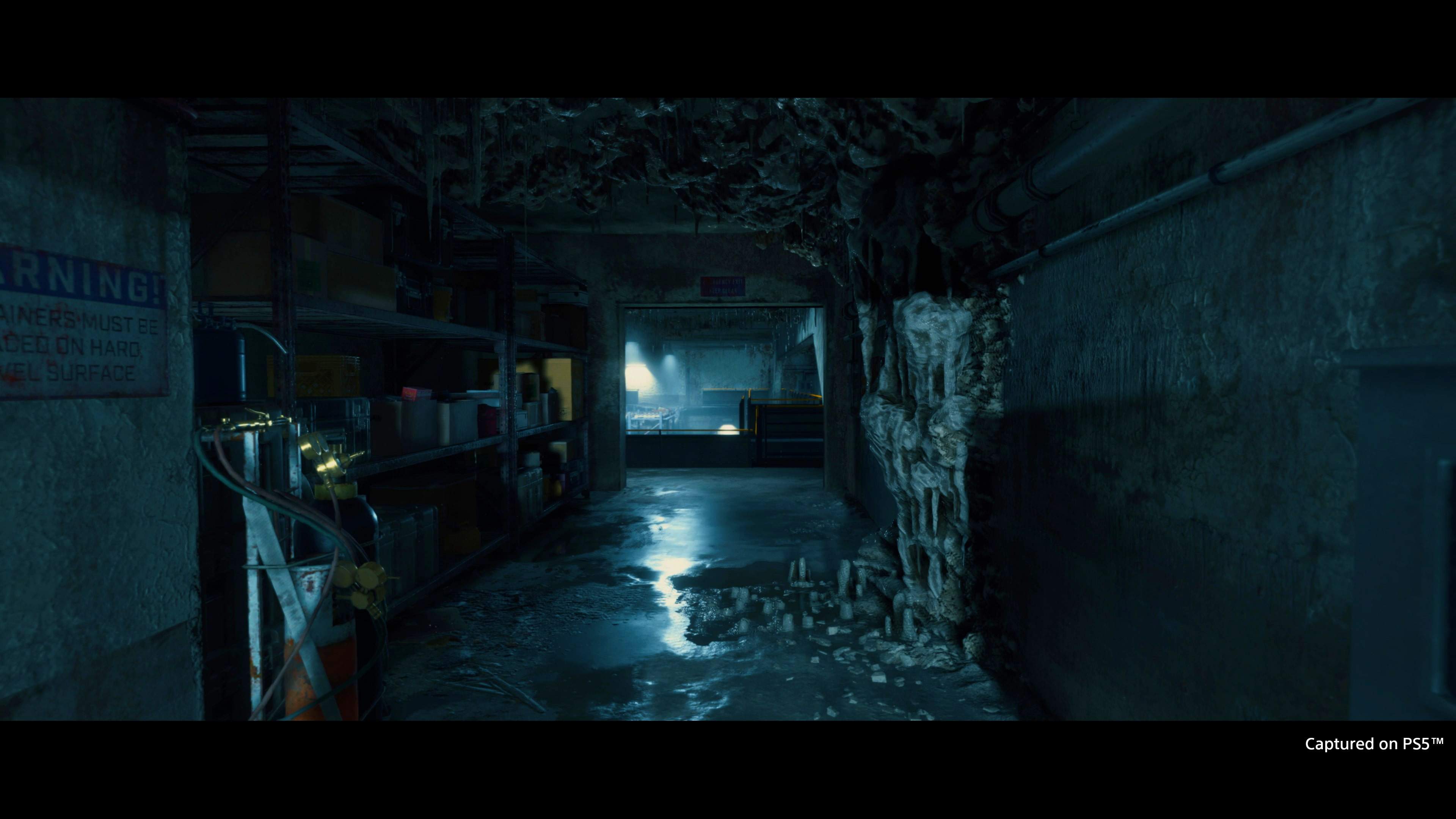 Death Stranding Directors Cut - imagem 15