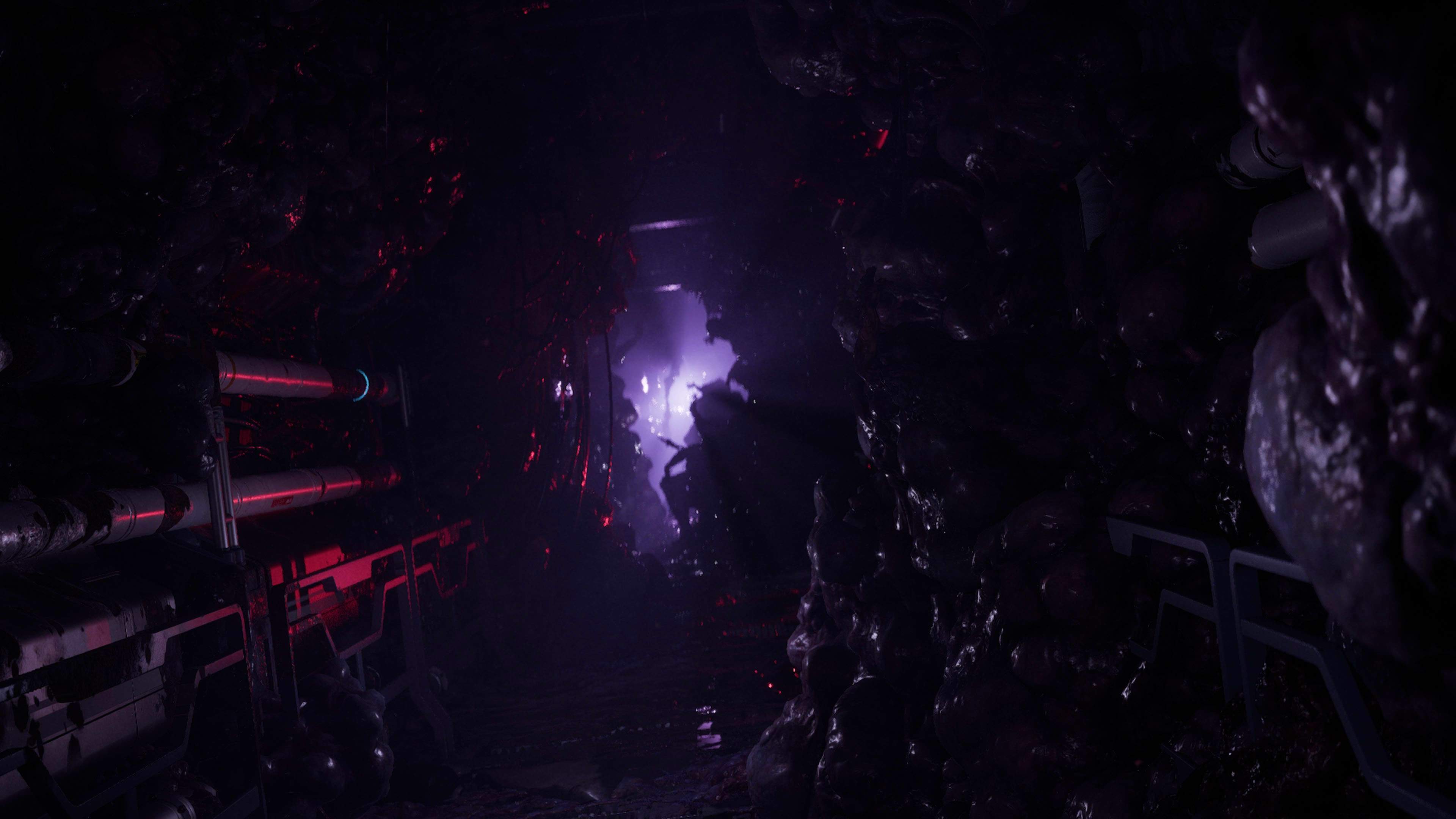 Directive 8020 - imagem 8