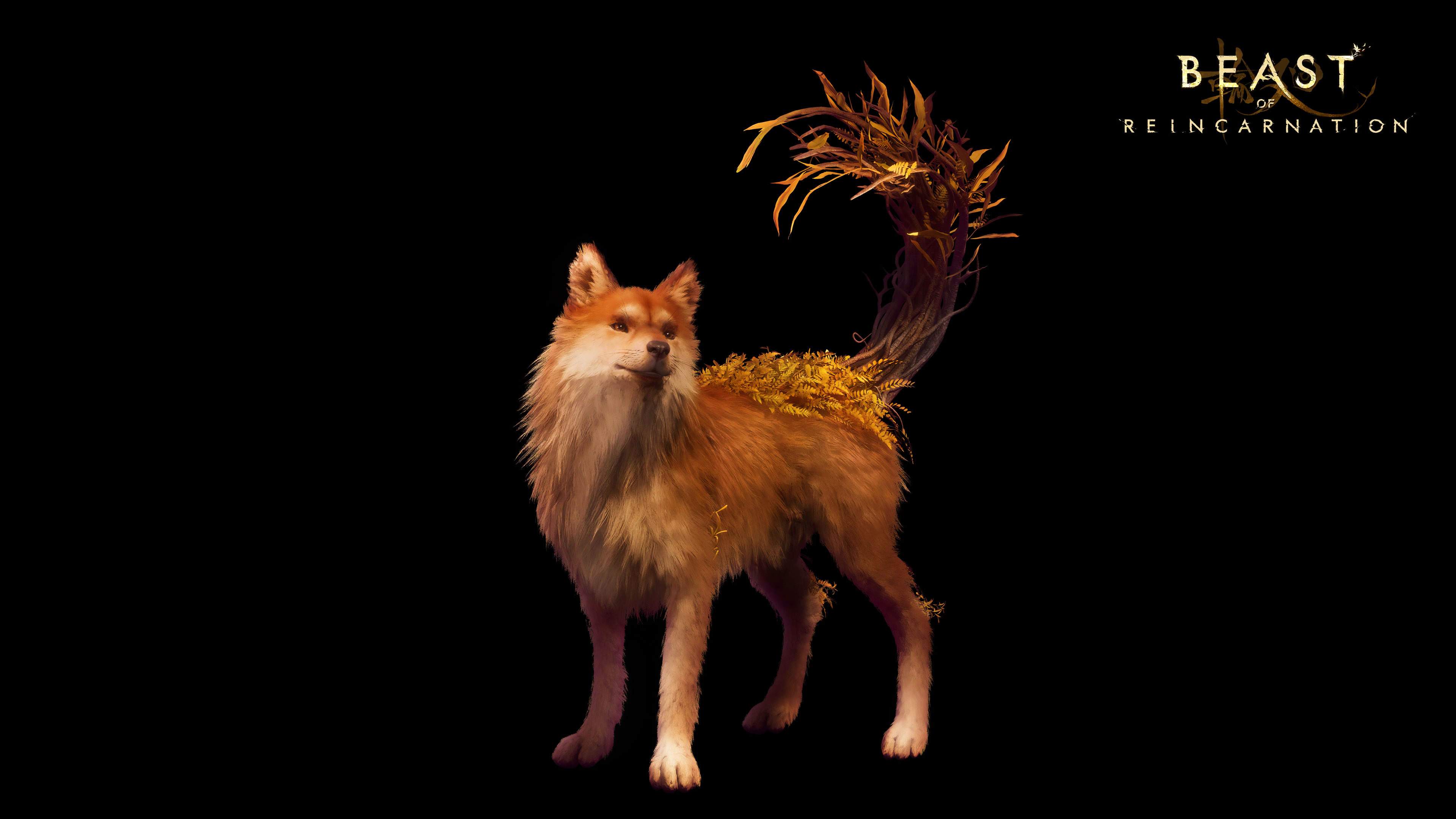 Beast of Reincarnation - imagem 1