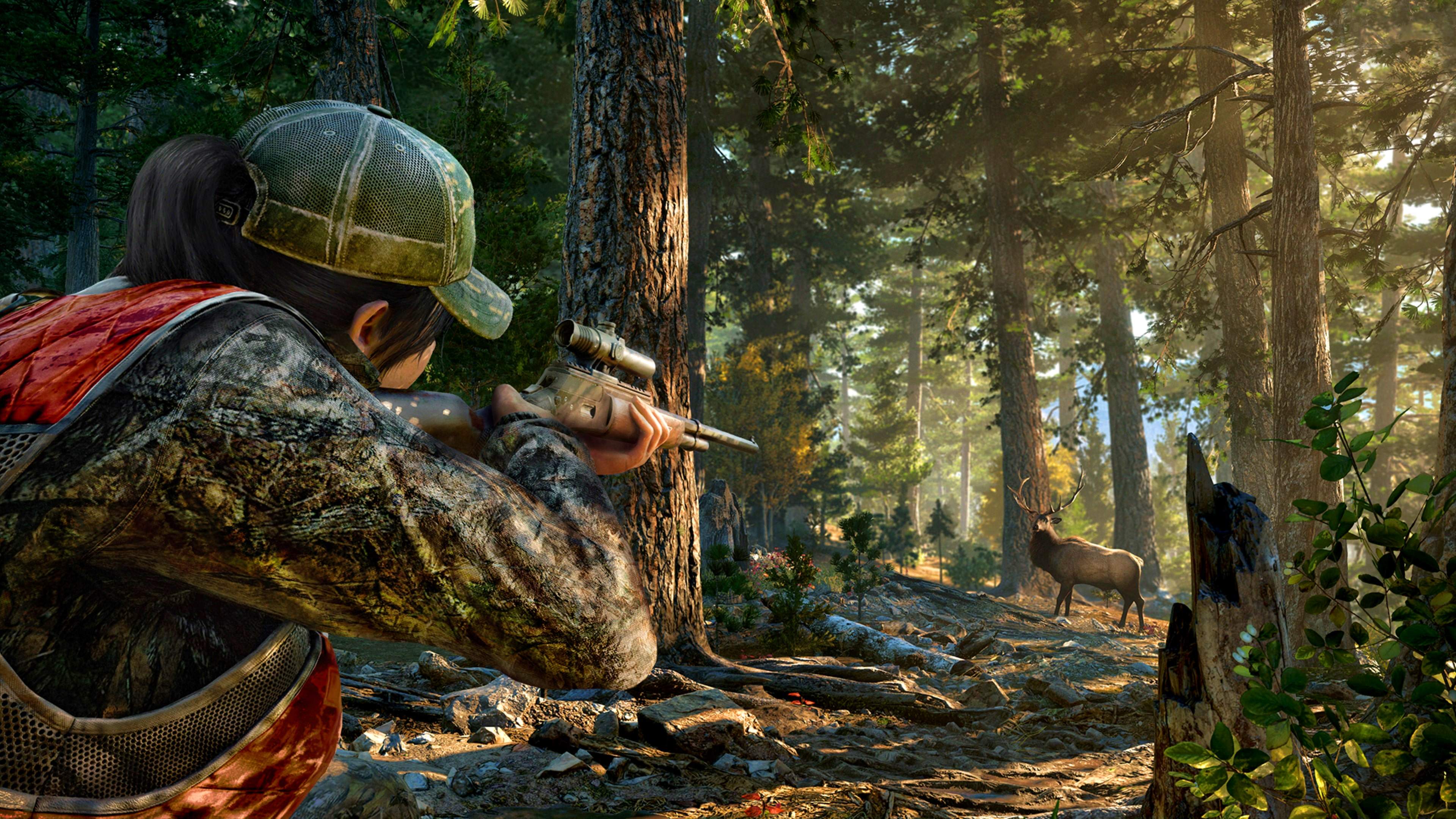 FAR CRY 5 - imagem 13