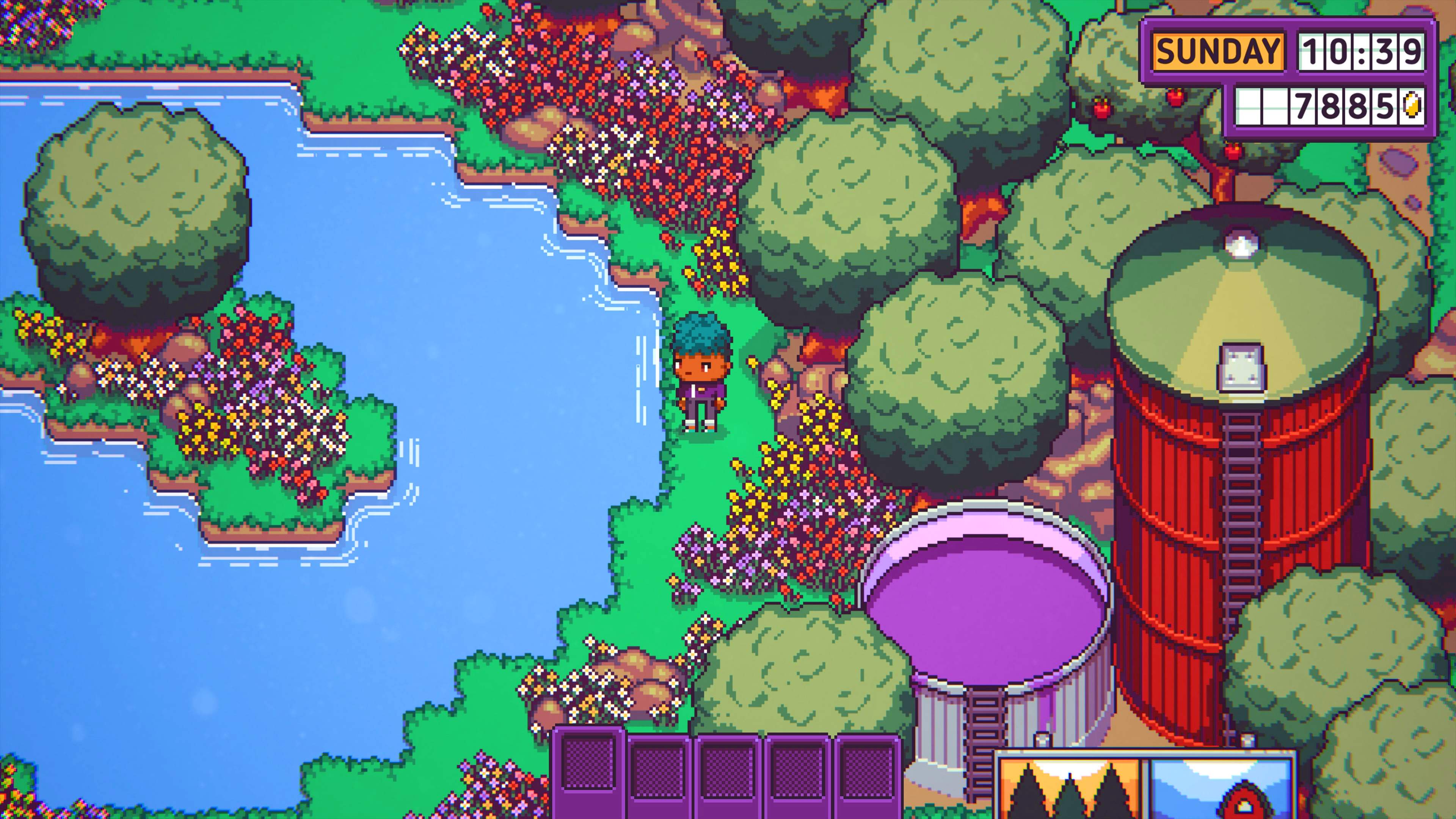 Discounty - imagem 6