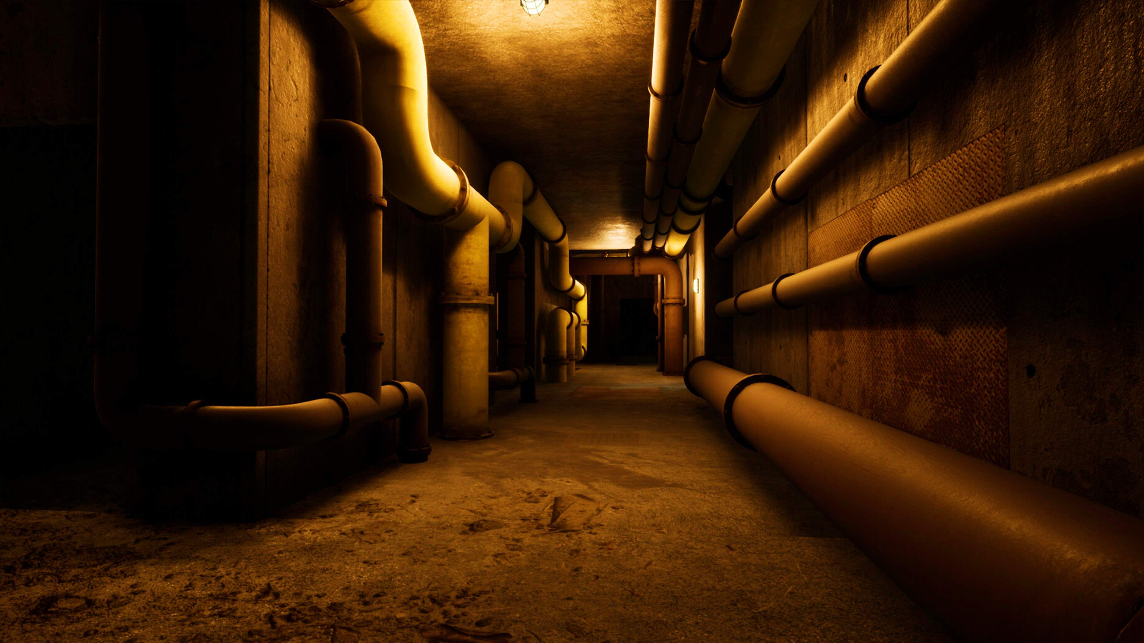 Escape the Backrooms - imagem 5
