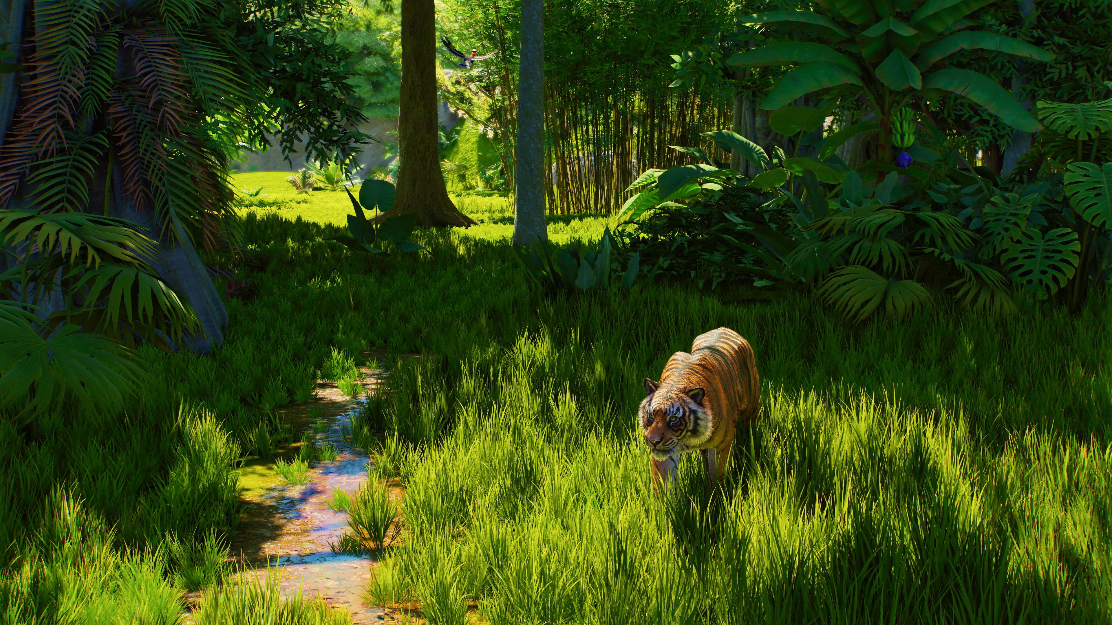 Planet Zoo 2 (Series S | X) - imagem 11