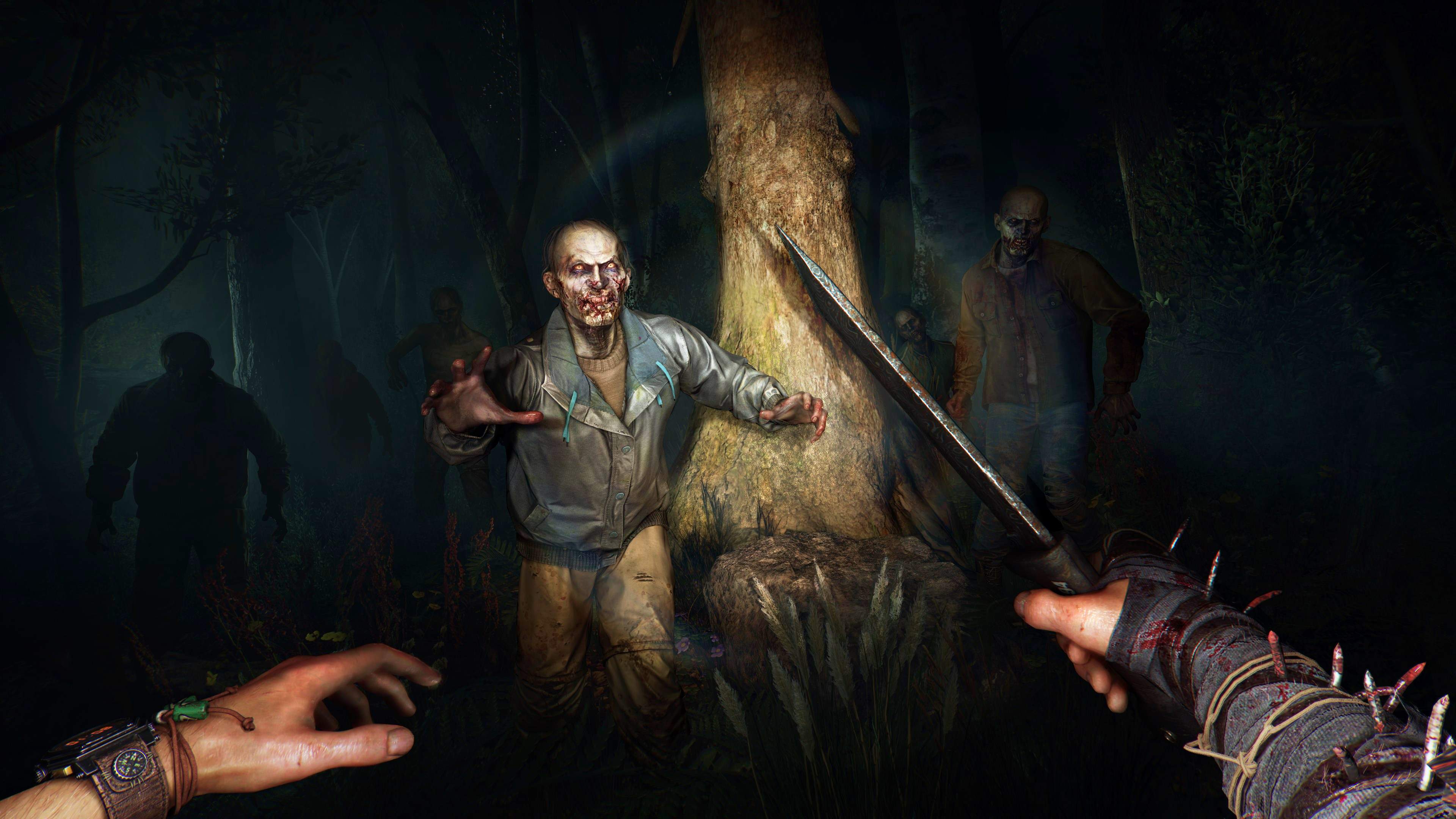 Dying Light: The Beast (Series S | X) - imagem 9