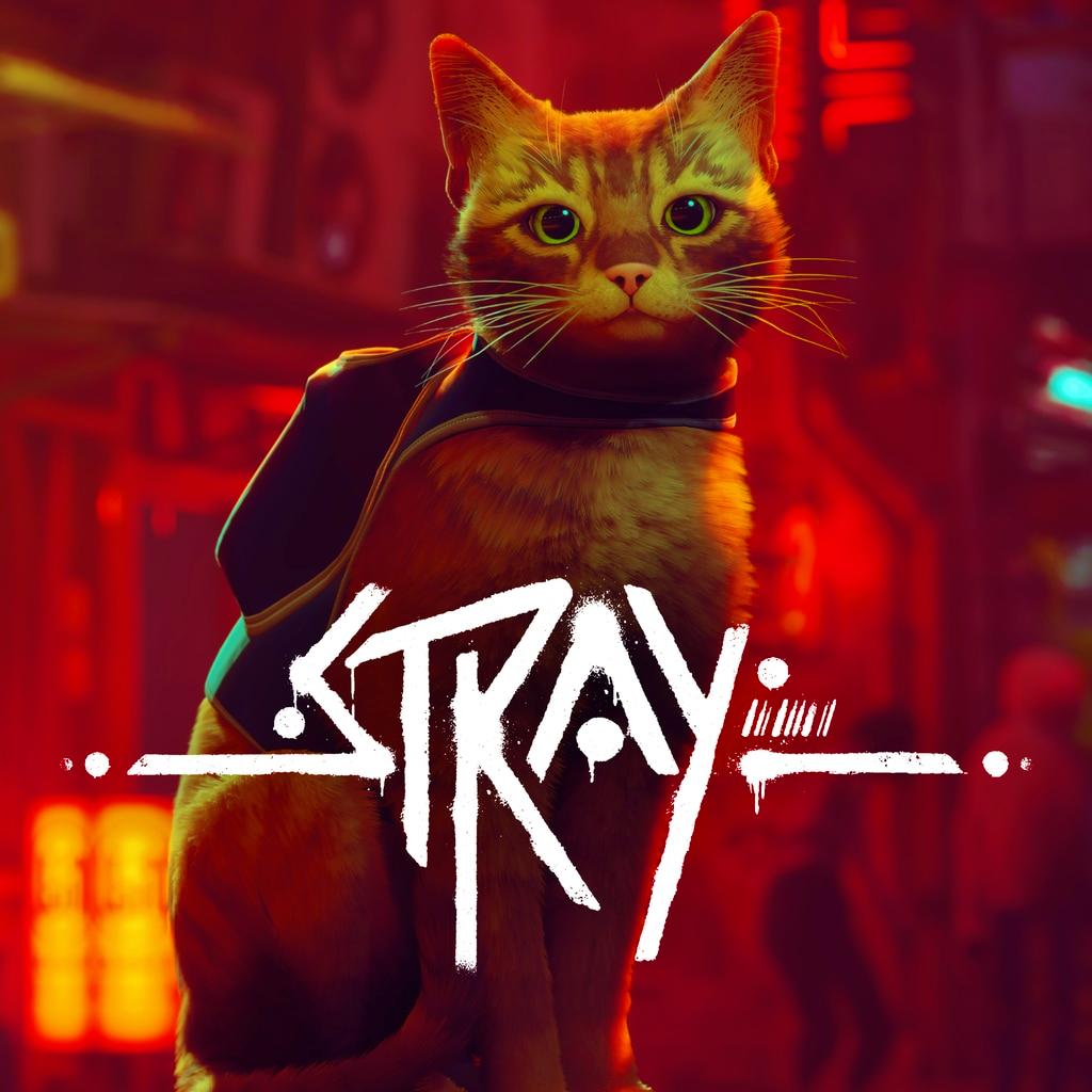 Stray